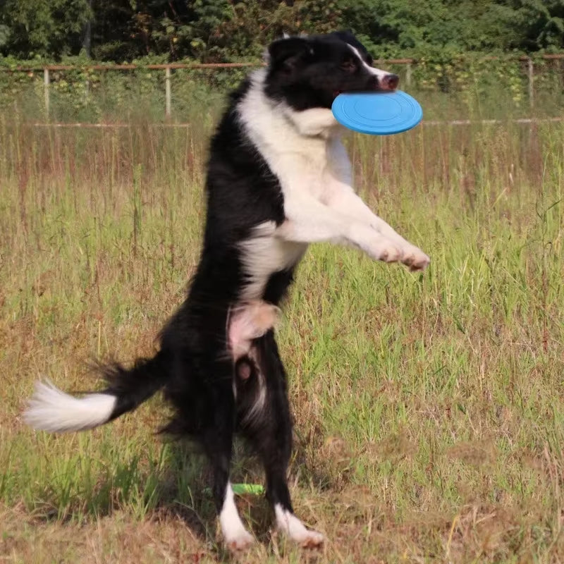 Durable Silicone Flying Disc – Interactive Toy for Dogs of All Sizes