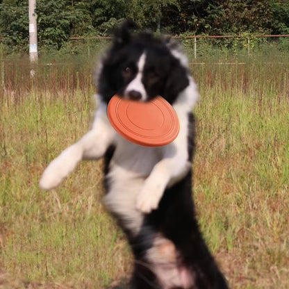 Durable Silicone Flying Disc – Interactive Toy for Dogs of All Sizes